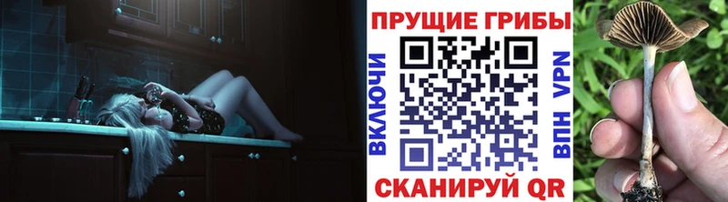 Галлюциногенные грибы мухоморы  как найти закладки  Элиста 