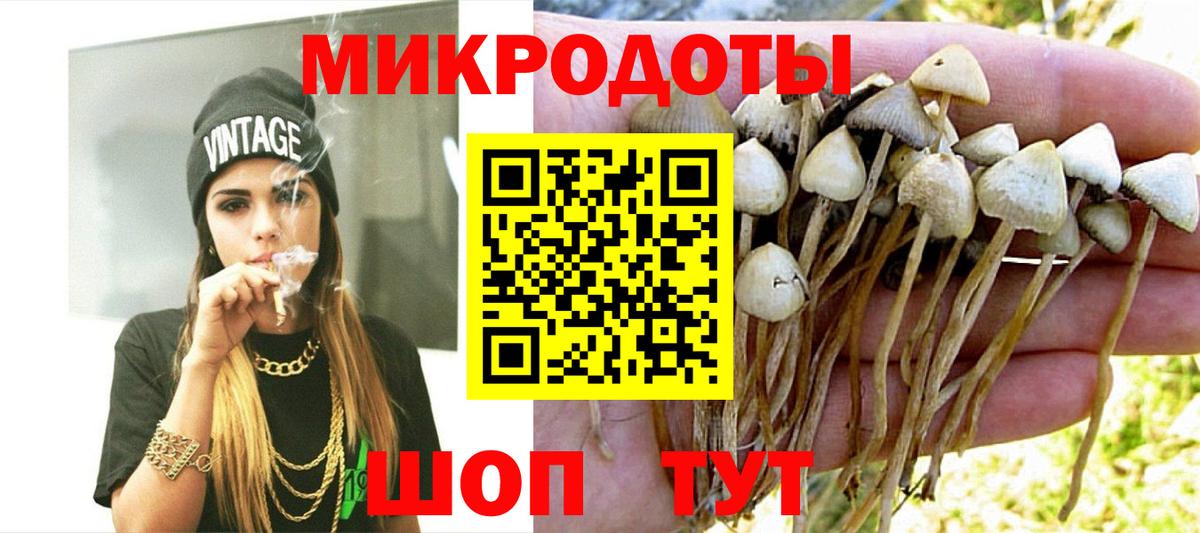 Галлюциногенные грибы Psilocybine cubensis  Галлюциногенные грибы MAGIC MUSHROOMS  Элиста  Вход с VPN 