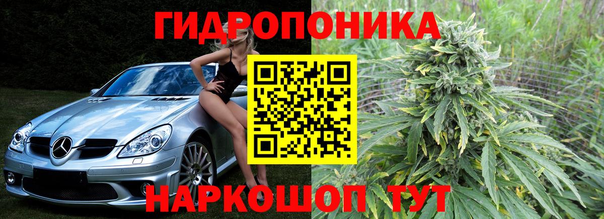 Бошки Шишки THC 21% Элиста